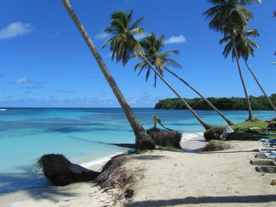 Gecko Azul Apartment Las Galeras Bagian luar foto